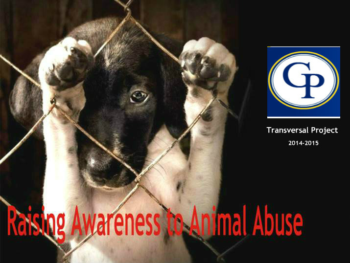 Theoretical Framework Animal abuse
